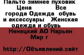 Пальто зимнее пуховик › Цена ­ 2 500 - Все города Одежда, обувь и аксессуары » Женская одежда и обувь   . Ненецкий АО,Нарьян-Мар г.